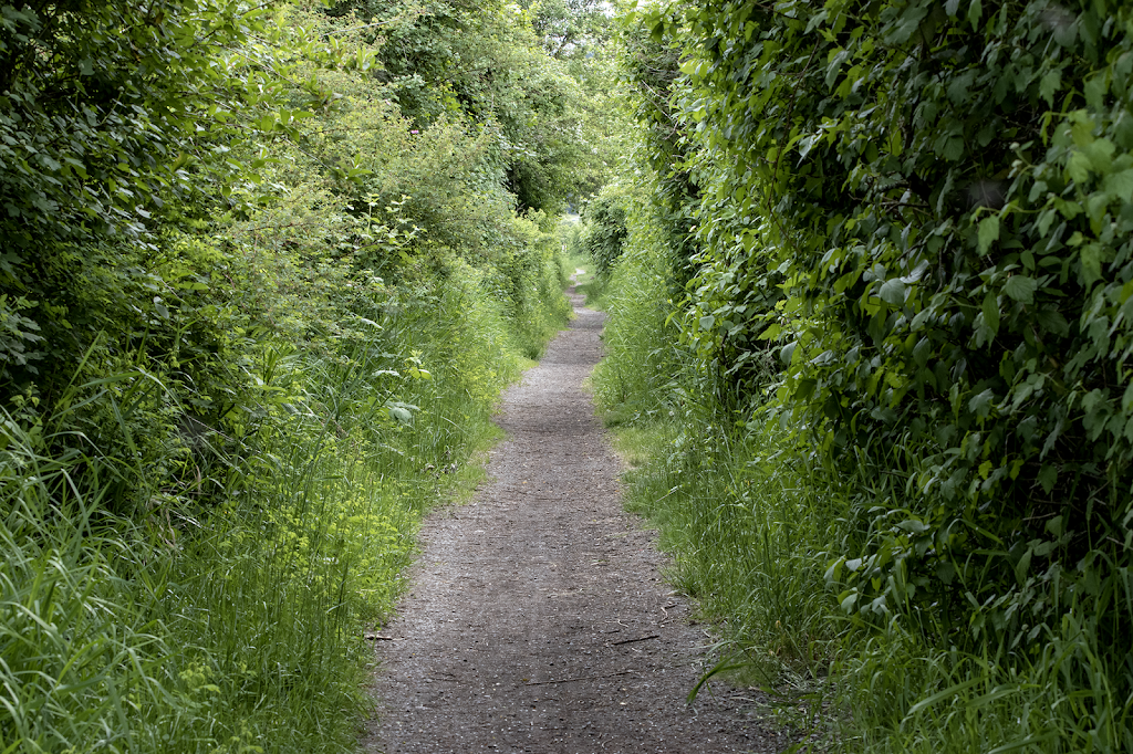 Willow Way Trail | 7200 block, Wallace Dr, Central Saanich, BC V8M 1S8, Canada