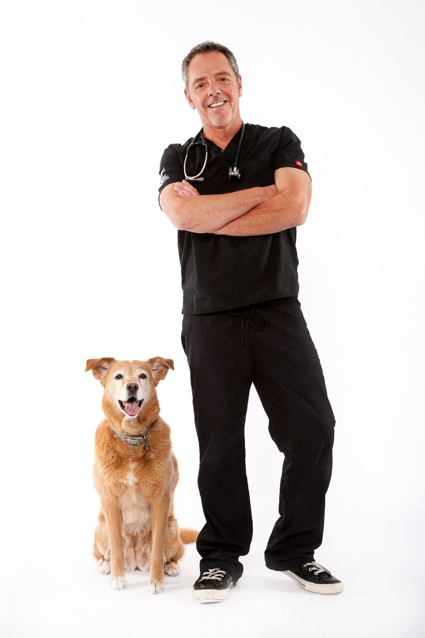 Dundas West Animal Hospital | 2160 Dundas St W, Toronto, ON M6R 1X3, Canada | Phone: (416) 535-8387