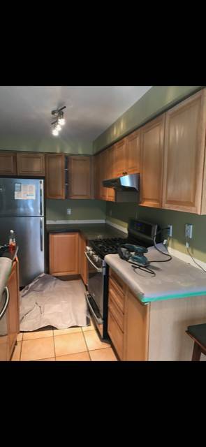 Linces Painting | 43 Malaspina Cl, Brampton, ON L6Y 6C8, Canada | Phone: (416) 893-4338