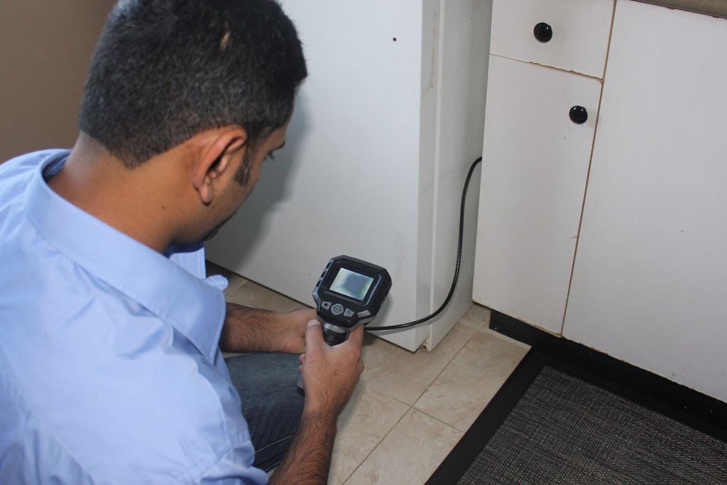 Star Pest Control Ltd | 14249 91 Ave, Surrey, BC V3V 7Y1, Canada | Phone: (604) 613-6249
