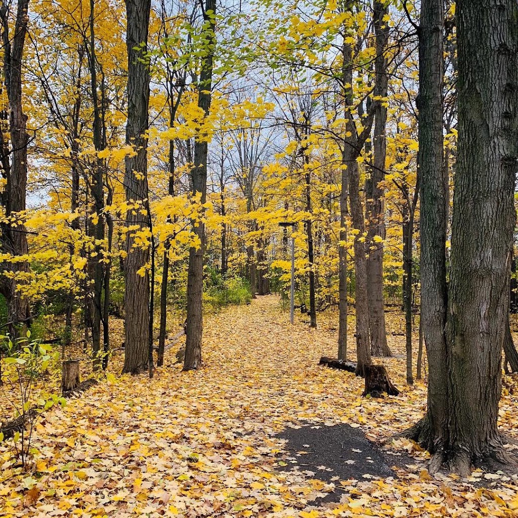 Silver Stream Park | 110 Shirley Dr, Richmond Hill, ON L4S 1Y7, Canada | Phone: (905) 771-8870
