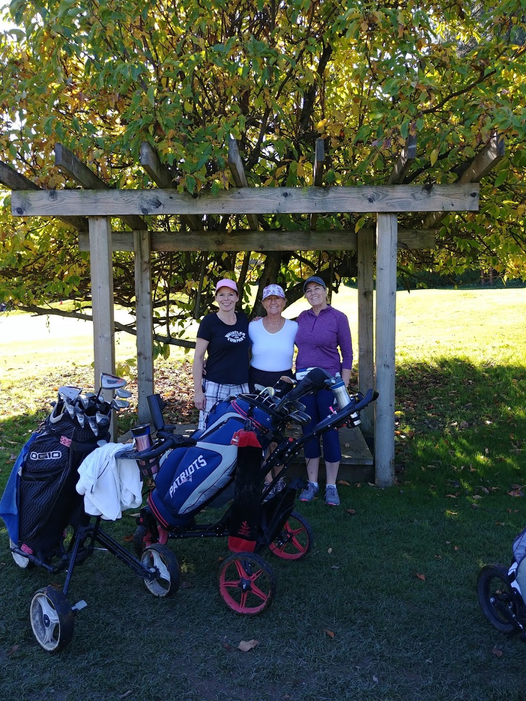 Meadowlands Golf and Country Club | 47823 Yale Rd, Chilliwack, BC V2P 7N3, Canada | Phone: (604) 792-2276