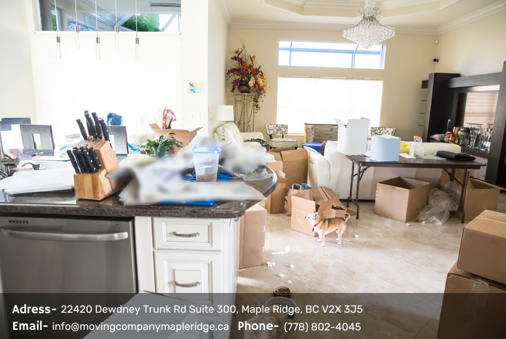 Moving Company Maple Ridge | Moving Butlers | 22420 Dewdney Trunk Rd Suite 300, Maple Ridge, BC V2X 3J5, Canada | Phone: (778) 802-4045