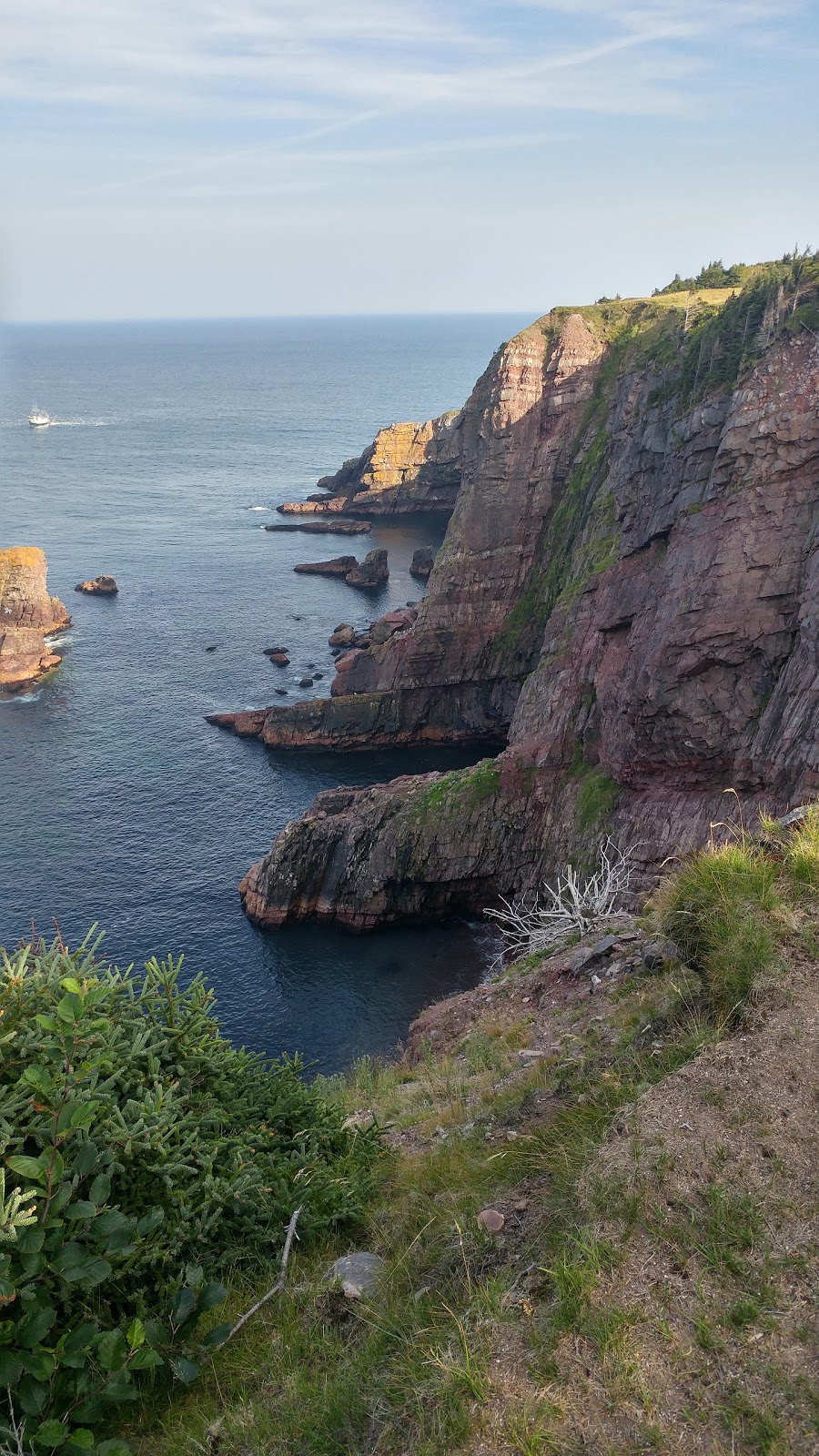 Mickeleens Path | Bears Cove Rd, Goulds, NL A1S 1R3, Canada