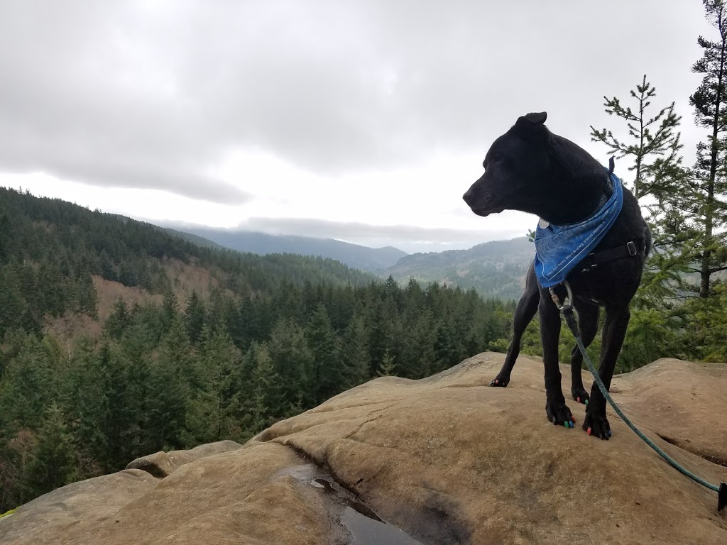 Raptor Ridge Overlook | Raptor Ridge Trail, Bellingham, WA 98229, USA