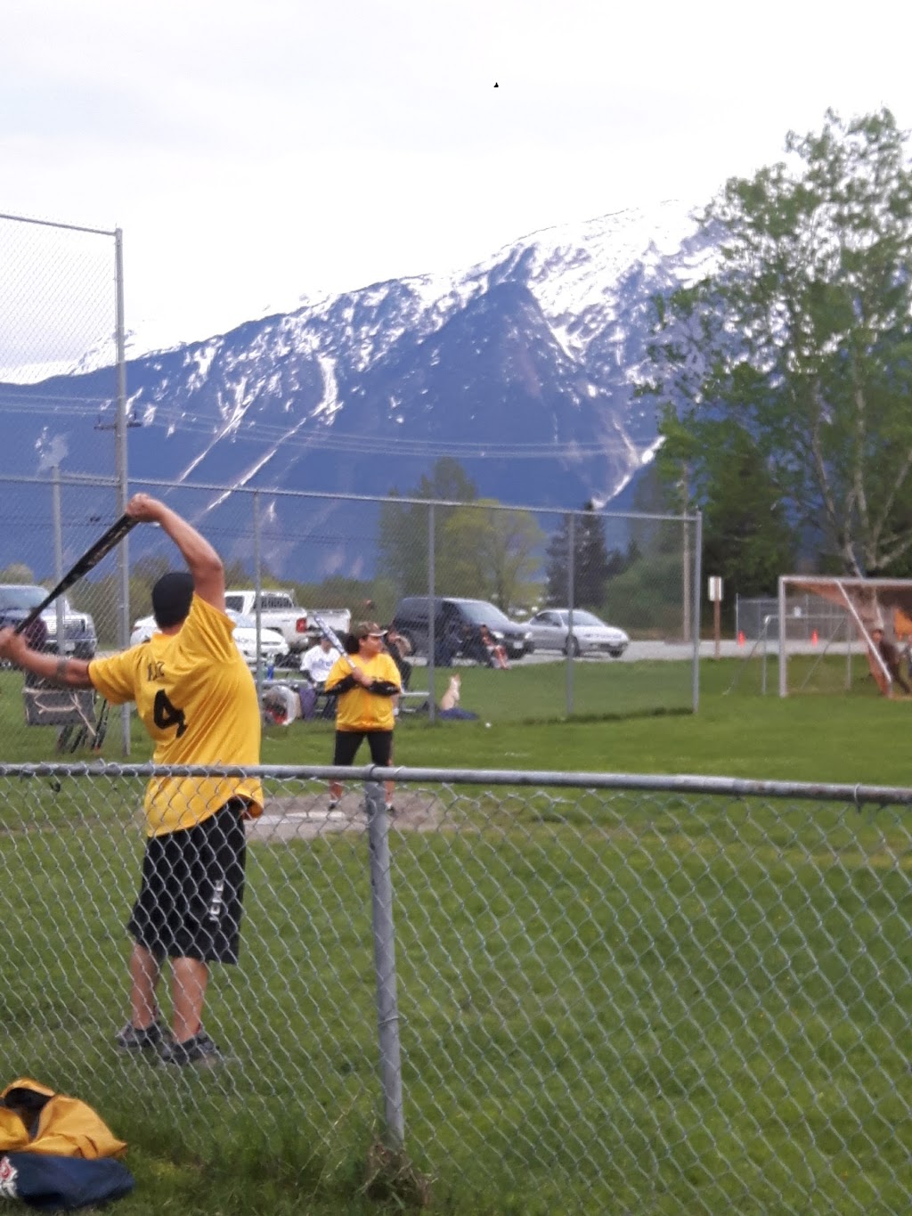 Pemberton Meadows Fields | Pemberton Meadows Rd, Squamish-Lillooet C, BC V0N 2L2, Canada | Phone: (604) 894-6135