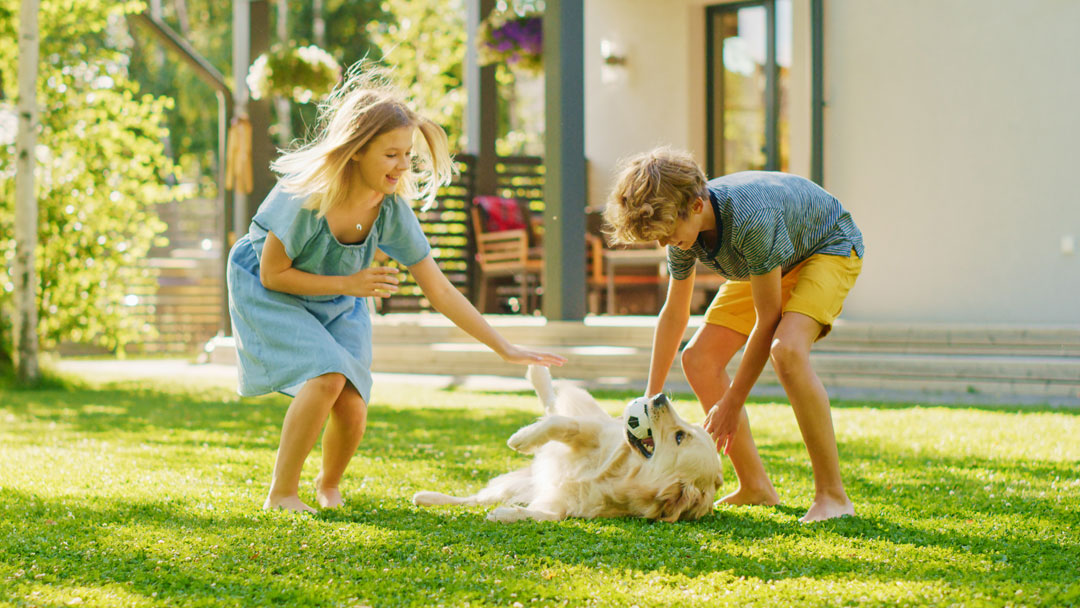Your Canine Nutritionist | 303 Pastern Trail, Waterloo, ON N2K 3Z3, Canada | Phone: (855) 695-9260