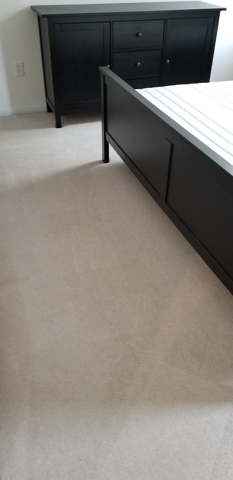 Magic Carpet Cleaning | 12 Gaudi Rd, Scarborough, ON M1B 0B4, Canada | Phone: (437) 999-3842