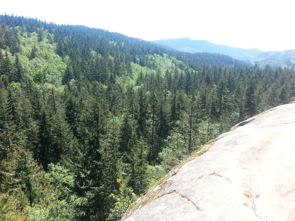Raptor Ridge Overlook | Raptor Ridge Trail, Bellingham, WA 98229, USA
