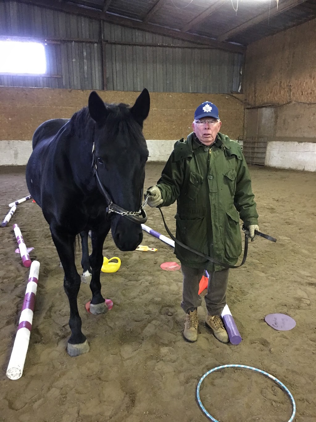 Horse Logic Equine Assisted Learning Centre | point of interest | 12472 Chinguacousy Rd, Caledon, ON L7C 1Y9, Canada | 9058678381 OR +1 905-867-8381