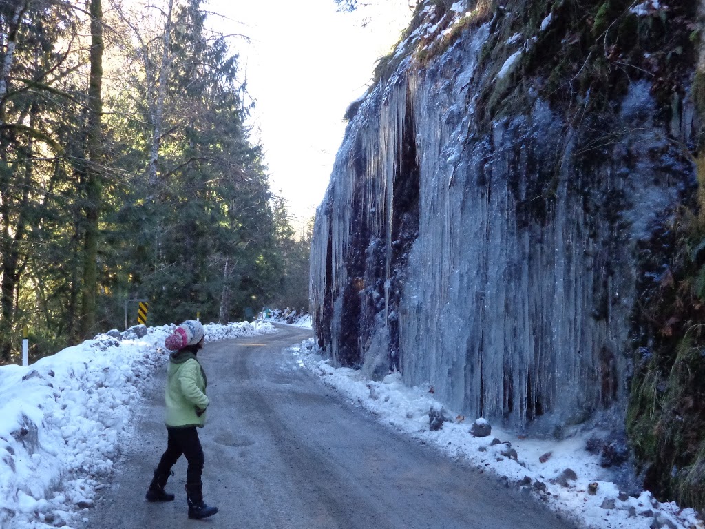 Elfin Lake Trailhead | Diamond Head Trail, Whistler, BC V0N 0A0, Canada | Phone: (800) 689-9025