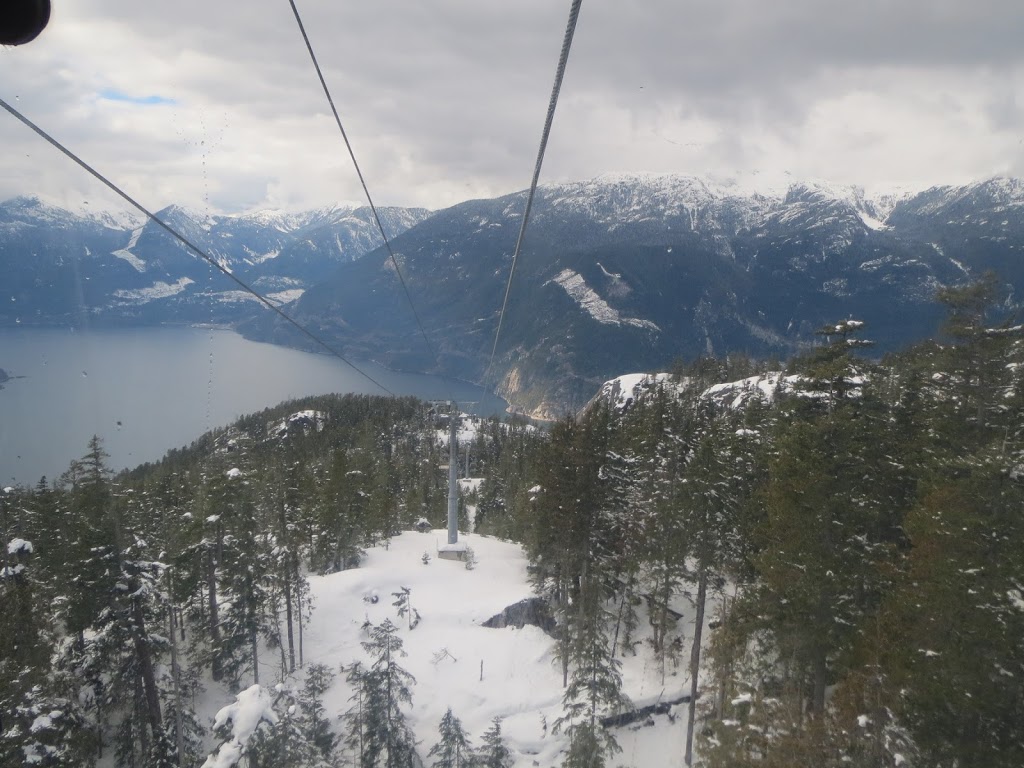 Lawrence Tours Ltd | 7175 Pandora St #33, Burnaby, BC V5A 1B6, Canada | Phone: (604) 780-3474