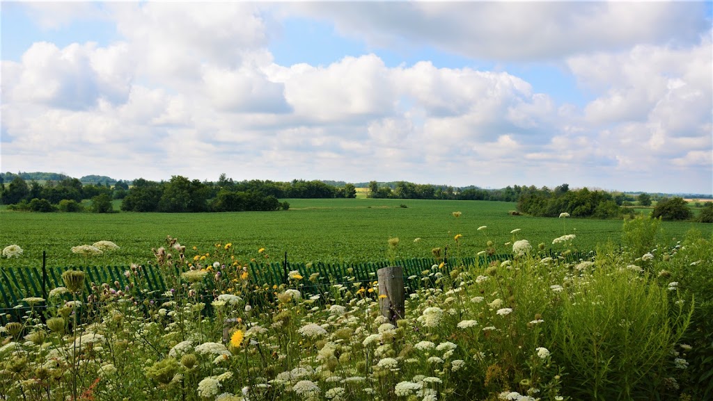 Rouge National Urban Park, Reesor Road Day Use Area, Parking Lot | 7445 Elgin Mills Rd E, Markham, ON L6B 1A8, Canada | Phone: (416) 264-2020
