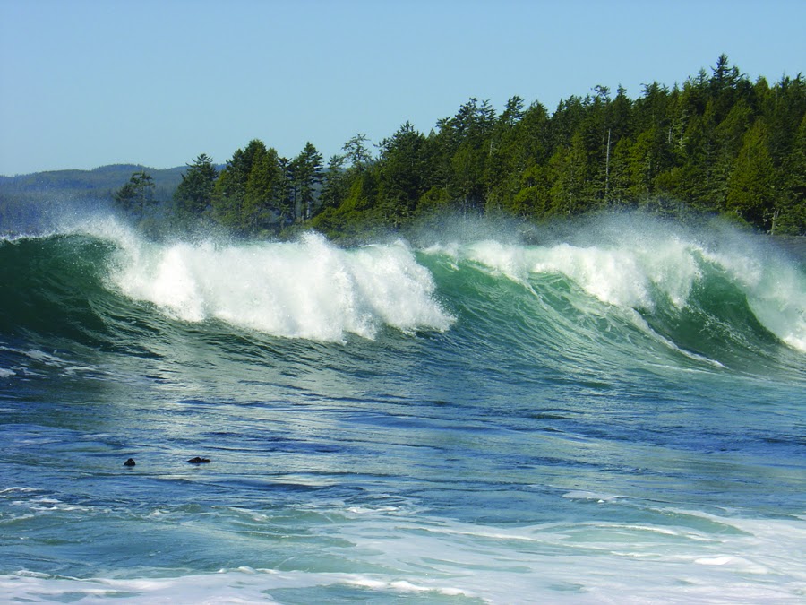 Botanical Getaway Guest House | 6528 Cerantes Rd, Port Renfrew, BC V0S 1K0, Canada | Phone: (250) 647-5483