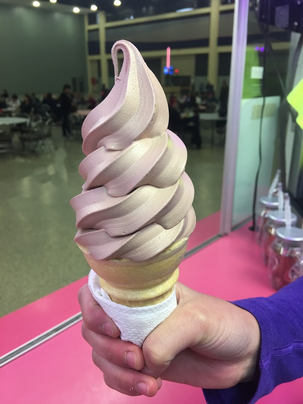 Bryces Ice Cream | 1 Naval Park Cove, Buffalo, NY 14202, USA | Phone: (716) 983-7696