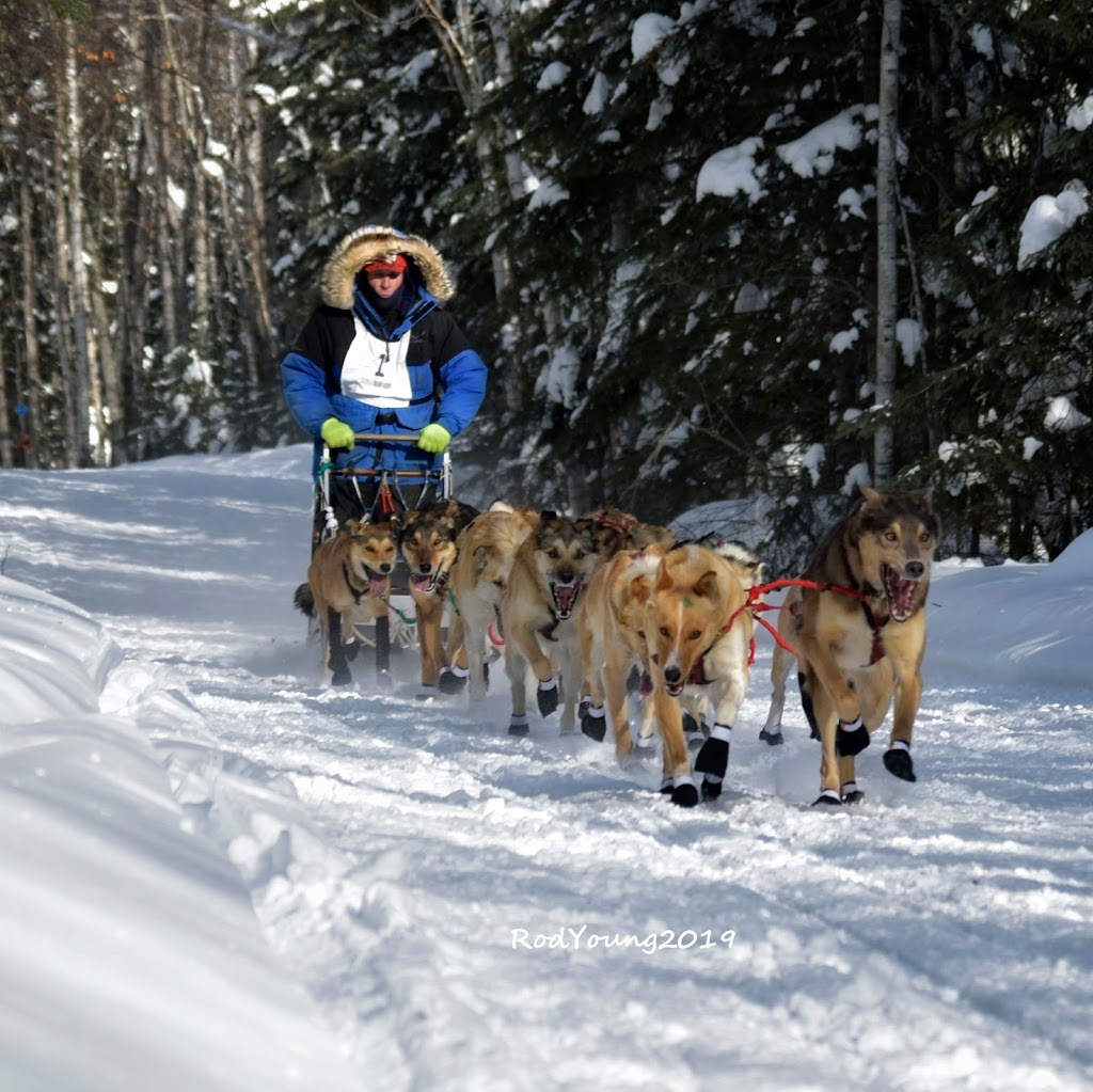 Canadian Challenge Dog Sled Race | National Park, 1105 Central Ave, Prince Albert, SK S6V 4V7, Canada | Phone: (306) 763-1539