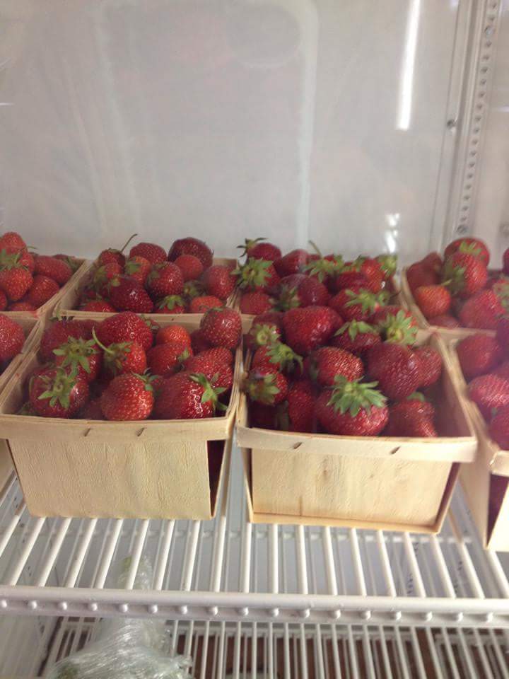 Debbies veggies and rotarius greenhouse | 10246 Dixie Hwy, Ira Township, MI 48023, USA | Phone: (586) 725-0831