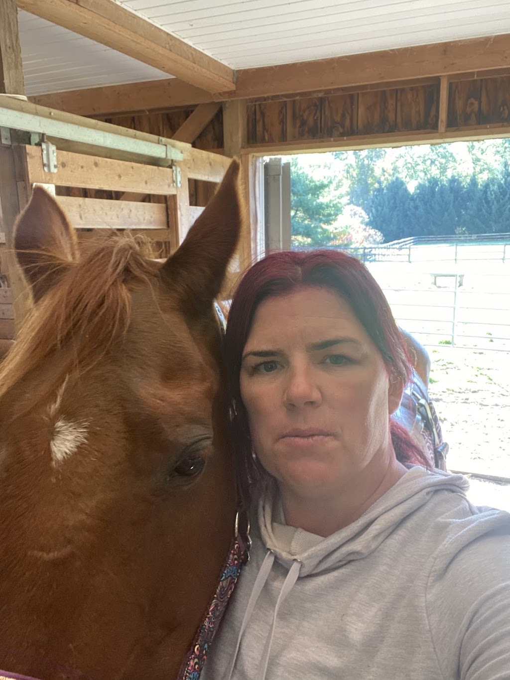 Navigate Life Positively | 1102 Forestry Farm Rd, Simcoe, ON N3Y 4K1, Canada | Phone: (519) 717-1078
