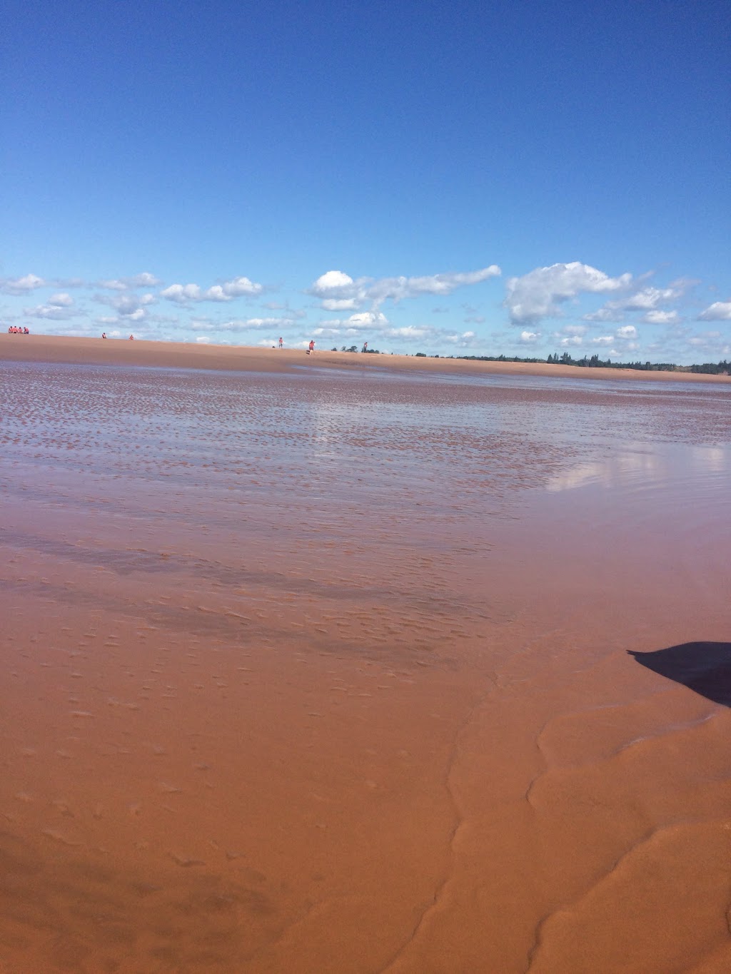Bára Whitewater Rafting | 10061 NS-215, Princeport, NS B6L 1S1, Canada | Phone: (902) 305-1434