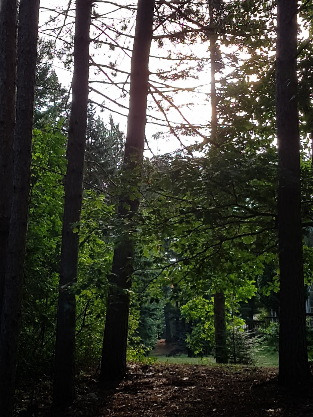 Camp Huronda | 1252 S Waseosa Lake Rd, Huntsville, ON P1H 2N4, Canada | Phone: (705) 789-7153