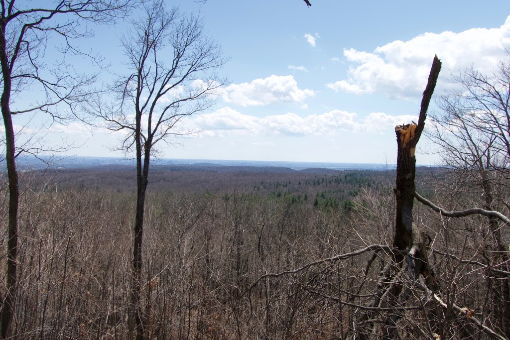 P7 Gatineau Park | 206 Chemin Kingsmere, Chelsea, QC J9B 1G8, Canada