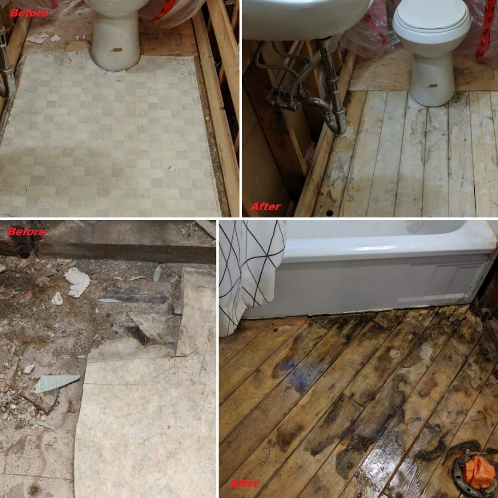 All Clear Environmental | 193 Oldfield Dr, Kitchener, ON N2A 3S9, Canada | Phone: (519) 577-0013