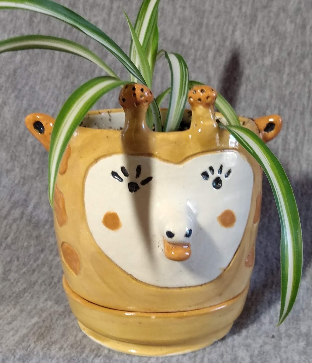 Eagles Nest Pottery | 691 Mines 2 Rd, Hebbs Cross, NS B4V 0Y2, Canada | Phone: (902) 521-7939