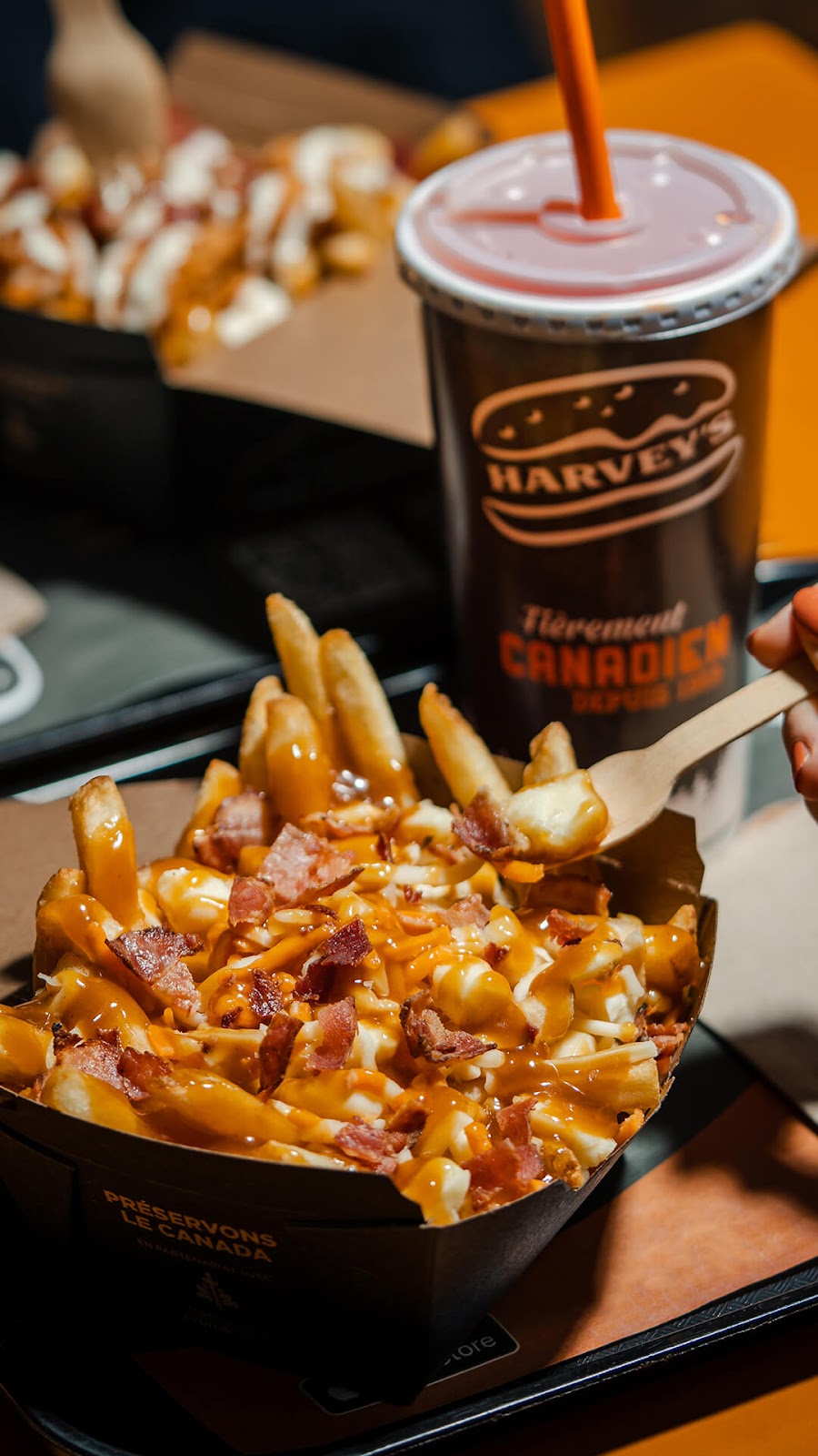 Harveys | 180 Bd Gréber, Gatineau, QC J8T 6K2, Canada | Phone: (819) 243-3024