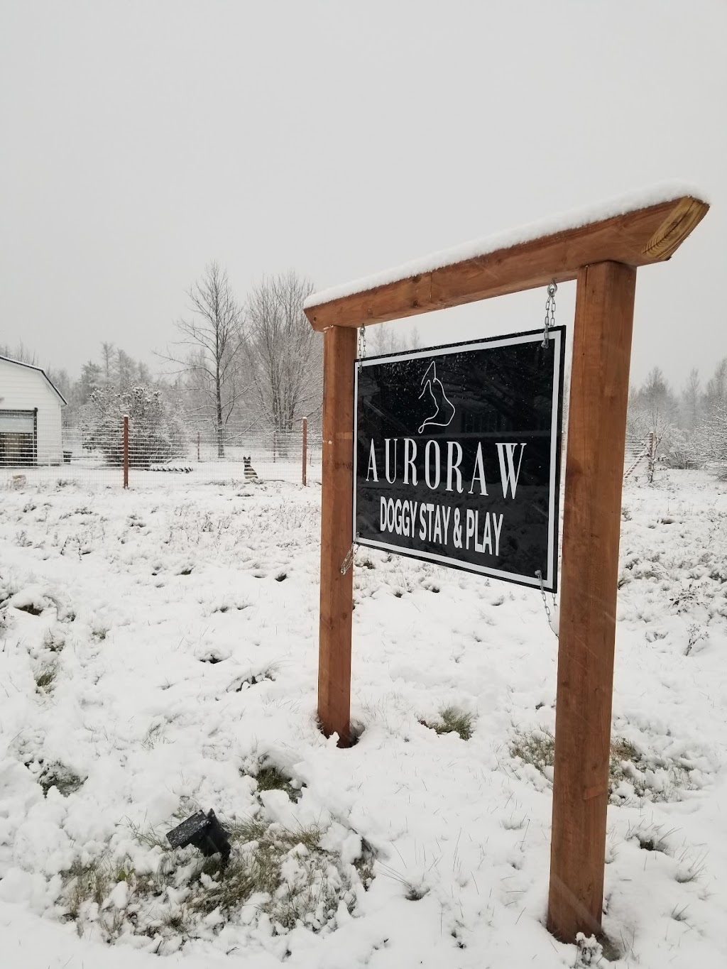 Auroraw Doggy Stay and Play Dog Boarding + Daycare | 8131 NB-126, Harcourt, NB E4T 2Z7, Canada | Phone: (519) 721-3991