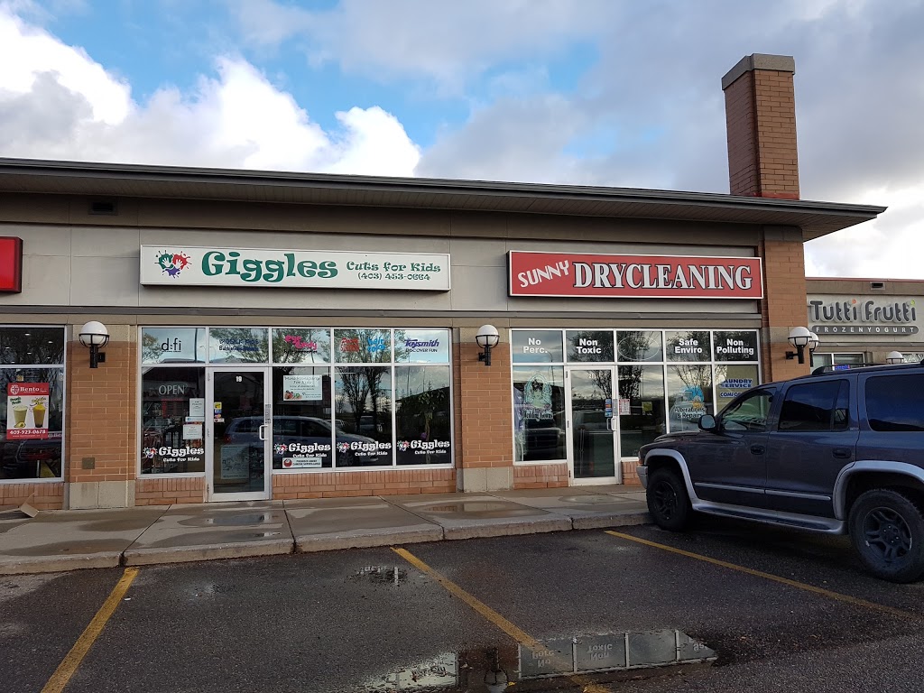 Sunny Drycleaning | 21, 4307 130 Ave SE, Calgary, AB T2Z 3V8, Canada | Phone: (403) 257-8888