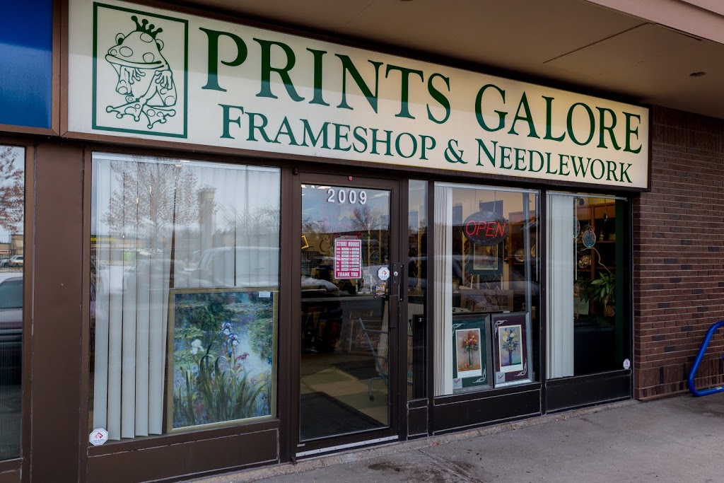 Mister Frame | 2009 Tudor Glen, St. Albert, AB T8N 3V4, Canada | Phone: (780) 458-4999