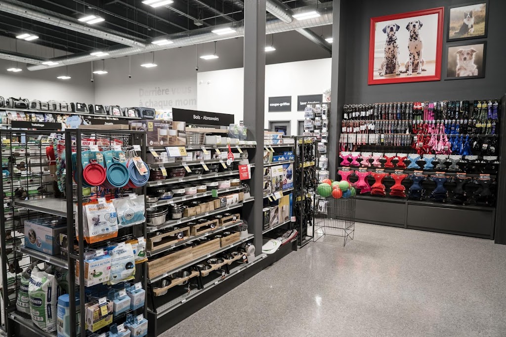 Mondou | 814 Bd de lAnge Gardien N Local 106, LAssomption, QC J5W 1P6, Canada | Phone: (450) 589-3410