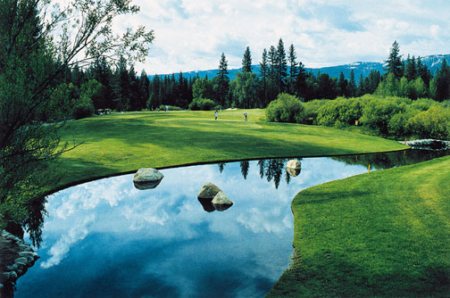 PE Irrigation Inc. | 11297 PE-14, Saint Louis, PE C0B 1Z0, Canada | Phone: (902) 853-5909