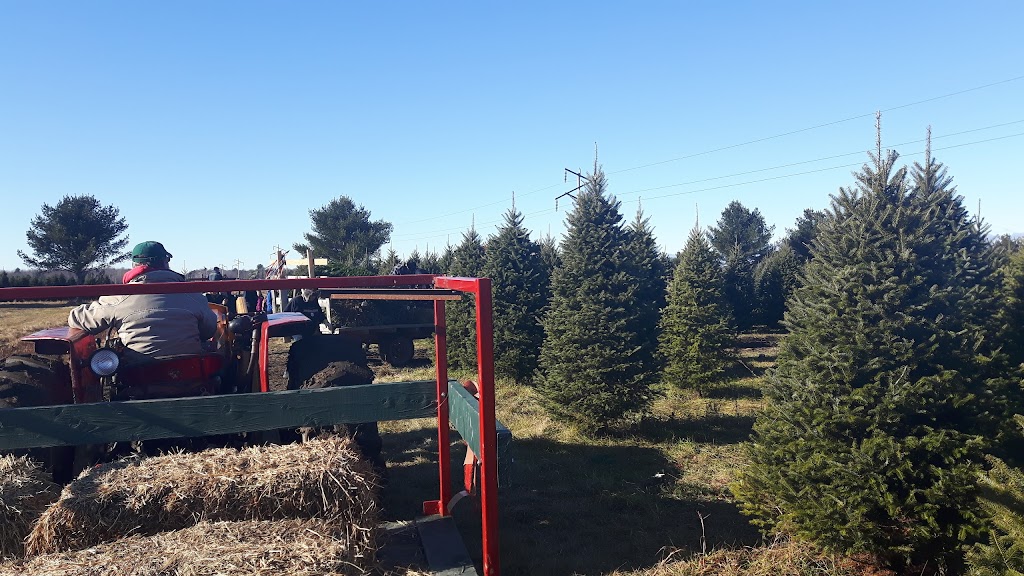 Hadley Christmas Trees / Arbres de Noël | 1600 Chem. Vide Sac, Lachute, QC J8H 2C5, Canada | Phone: (450) 562-9726