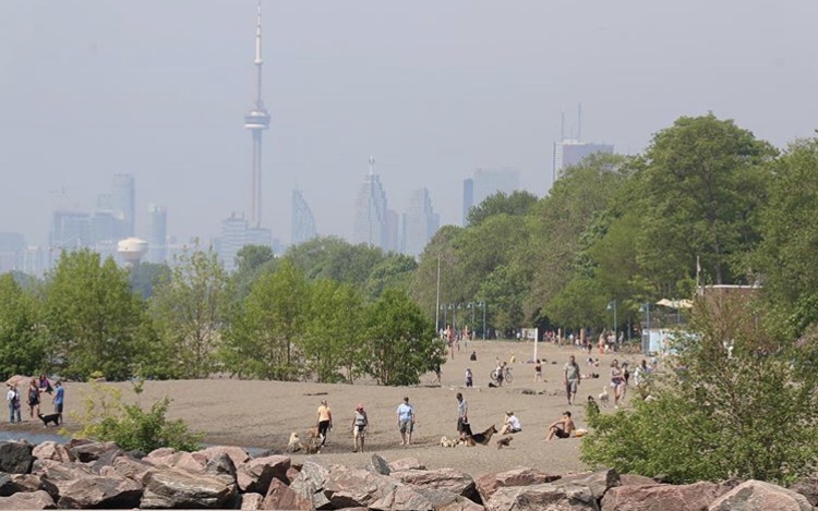 Nursewood dog park | Nursewood Rd, Toronto, ON M4E 3R8, Canada