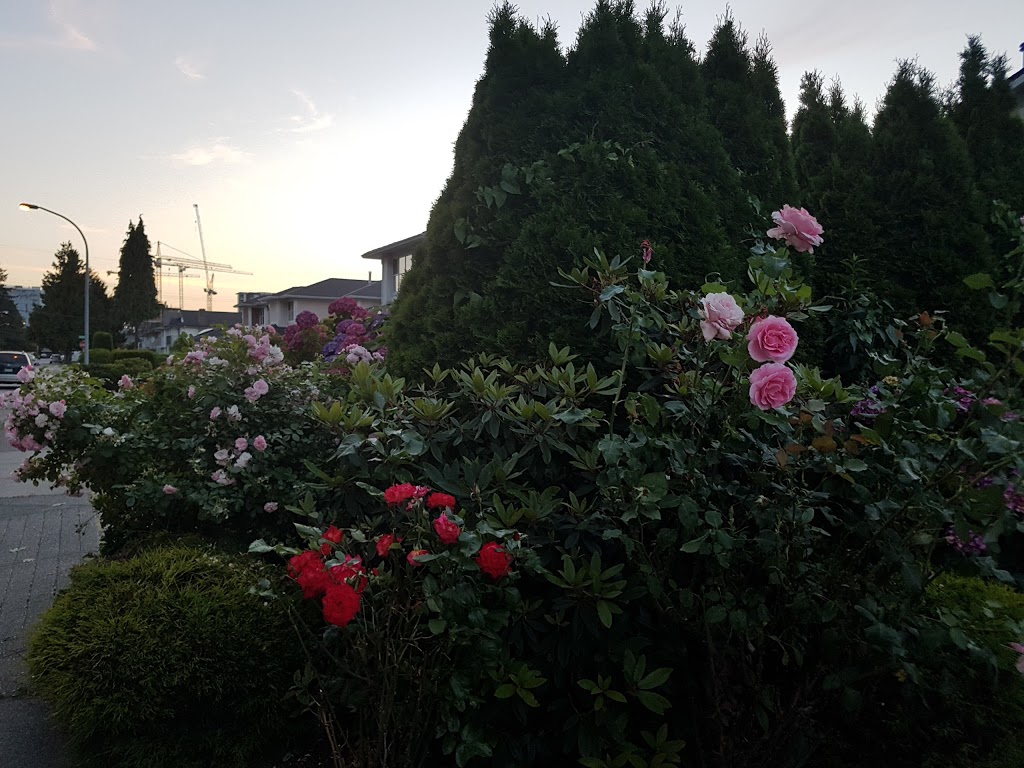 Talmey Neighborhood School Park | Capstan Way, Richmond, BC V6X 3N2, Canada