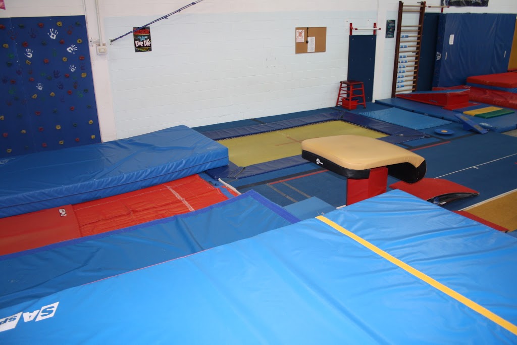 Kingston Gymnastics Club | 1343 Midland Ave Unit 320, Kingston, ON K7P 2W5, Canada | Phone: (613) 384-1190