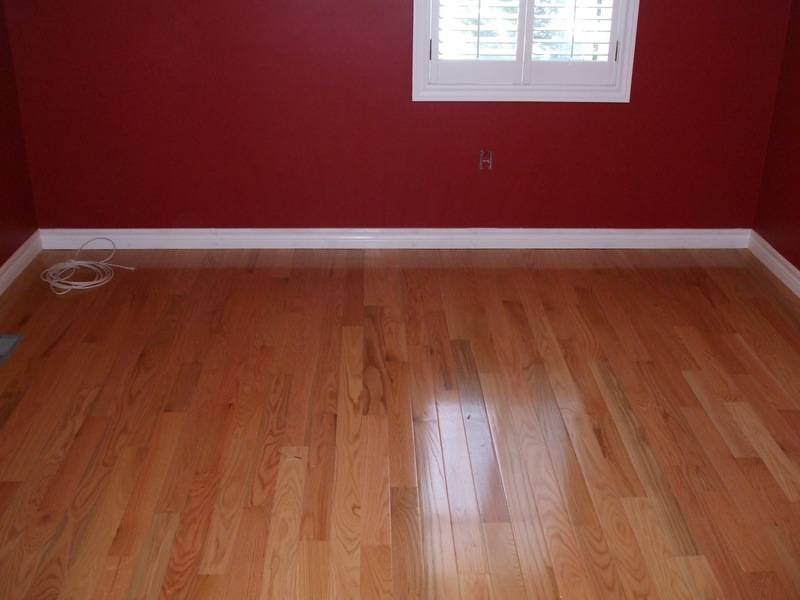 Allen Monks Contracting | 8 Adele Ct, Brampton, ON L6W 2S2, Canada | Phone: (519) 938-1248