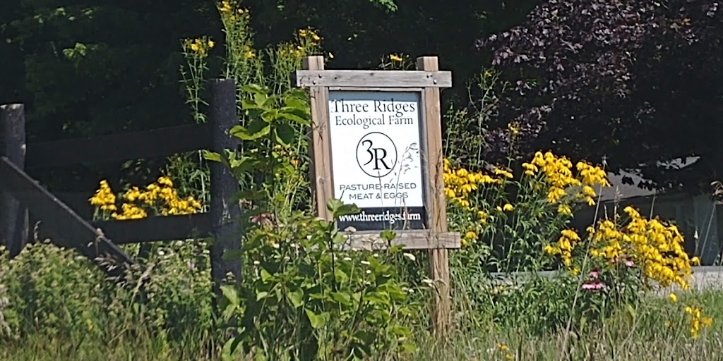 Three Ridges Ecological Farm | 48211 Sparta Line RR5, Aylmer, ON N5H 2R4, Canada | Phone: (519) 765-3278