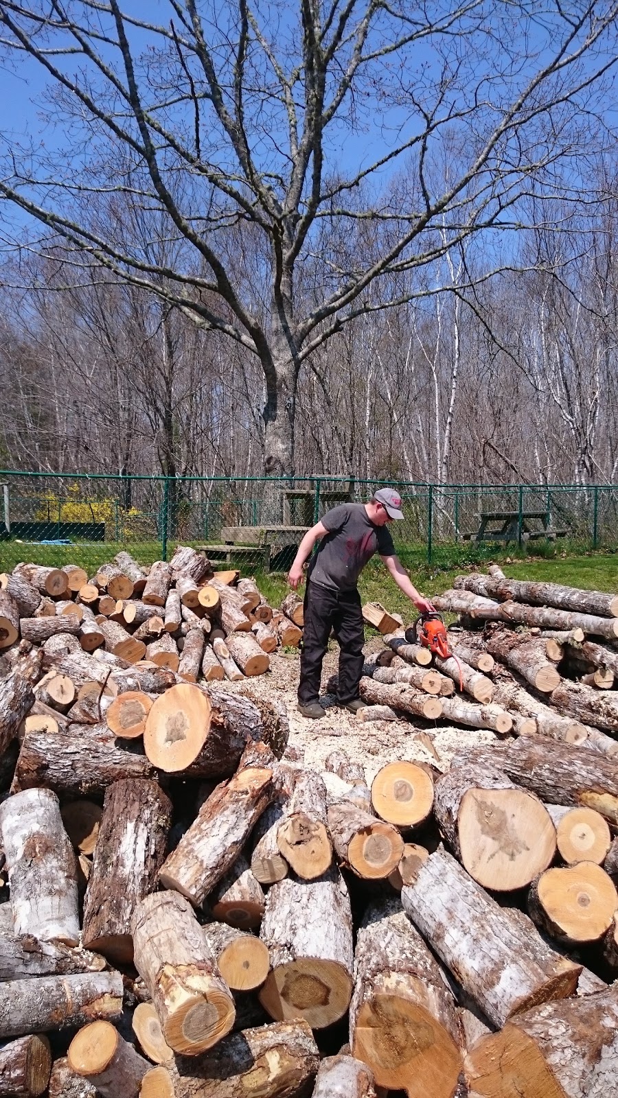 Decoration Depot | 46 McBunt Drive, Hebbville, NS B4V 6Y2, Canada | Phone: (902) 543-0111