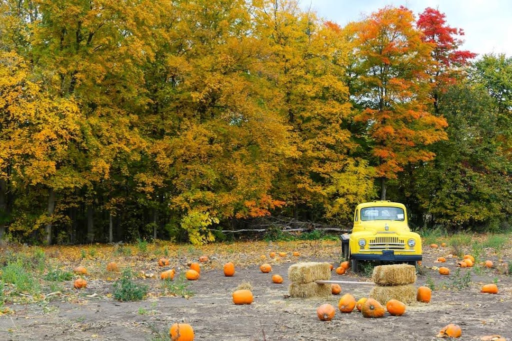 Downeys Apple Farm | 1355 Hopewell Creek Rd, Maryhill, ON N0B 2B0, Canada | Phone: (519) 590-4777