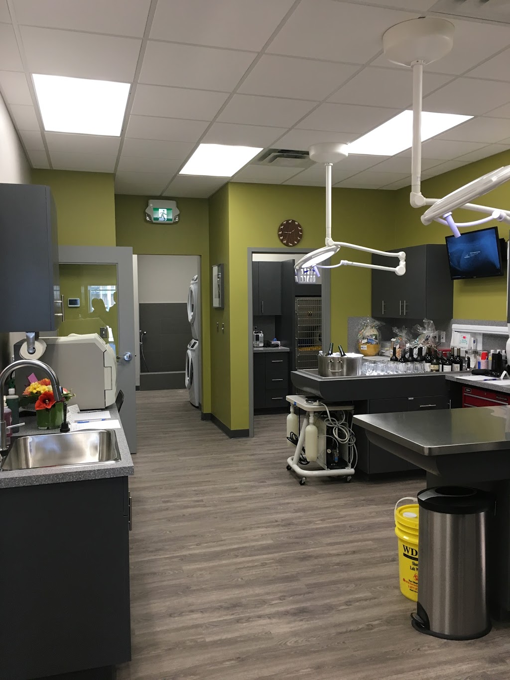 Tamarack Veterinary Clinic | 2531 17 St NW, Edmonton, AB T6T 0Y2, Canada | Phone: (780) 250-1700