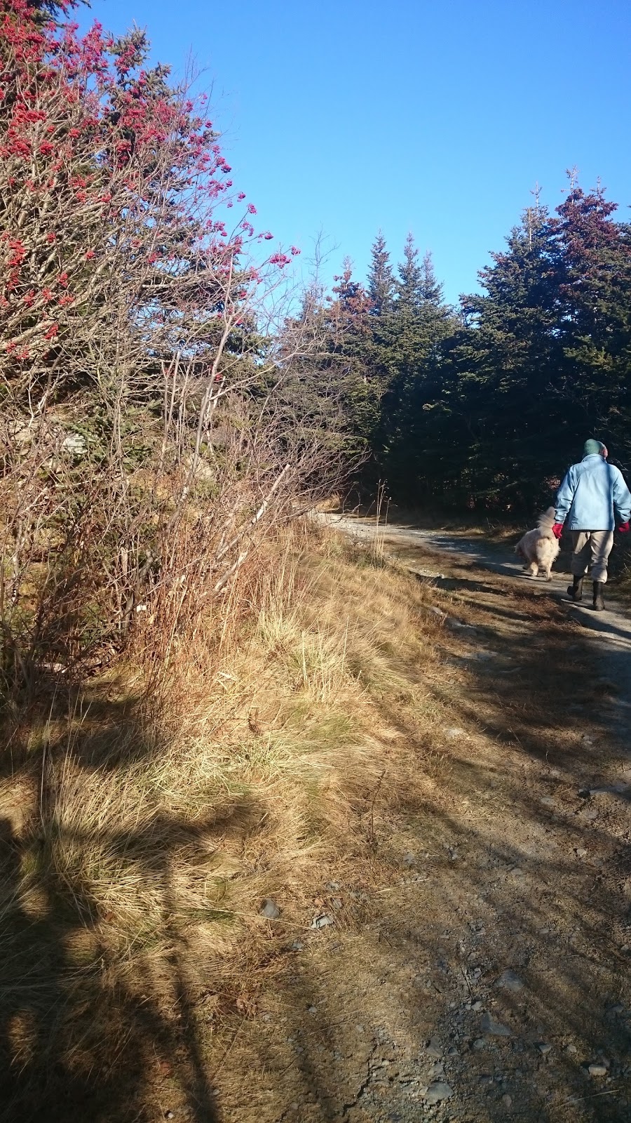Fisheries and Oceans Canada | 136 Crosbie Rd, St. Johns, NL A1B 3K3, Canada | Phone: (709) 772-4423