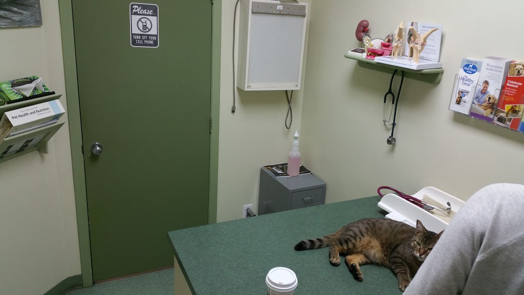 North Burnaby Pet Hospital Ltd | 4431 E Hastings St, Burnaby, BC V5C 2K1, Canada | Phone: (604) 298-9941