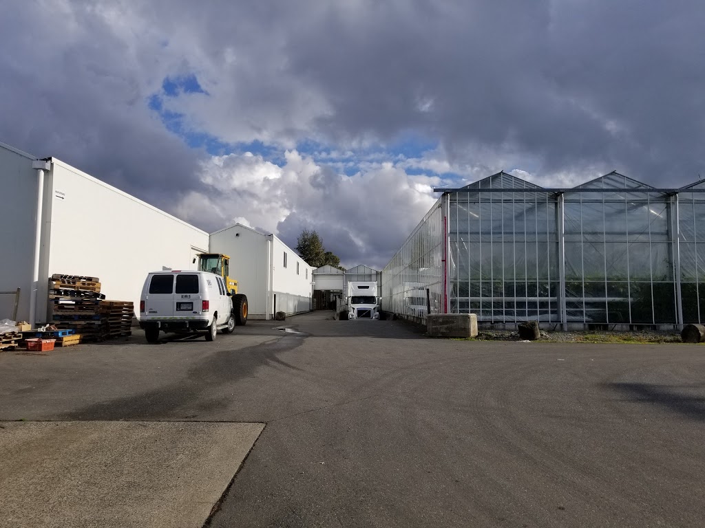 Mt Lehman Vegetable Farm | 6592 Mt Lehman Rd, Abbotsford, BC V4X 2G5, Canada | Phone: (604) 856-3360