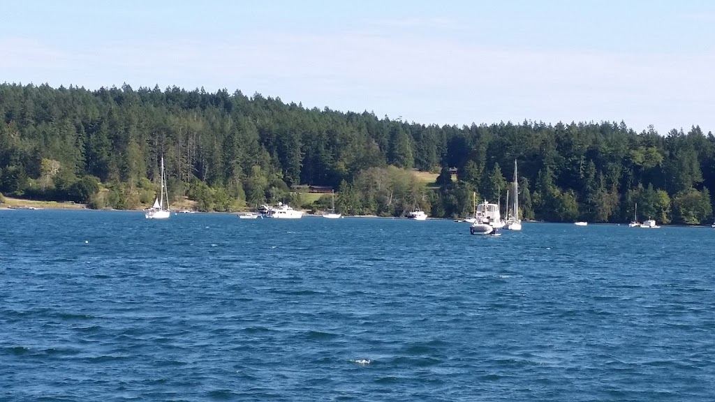 Blind Island Marine State Park | Eastsound, WA 98245, USA | Phone: (360) 378-2044