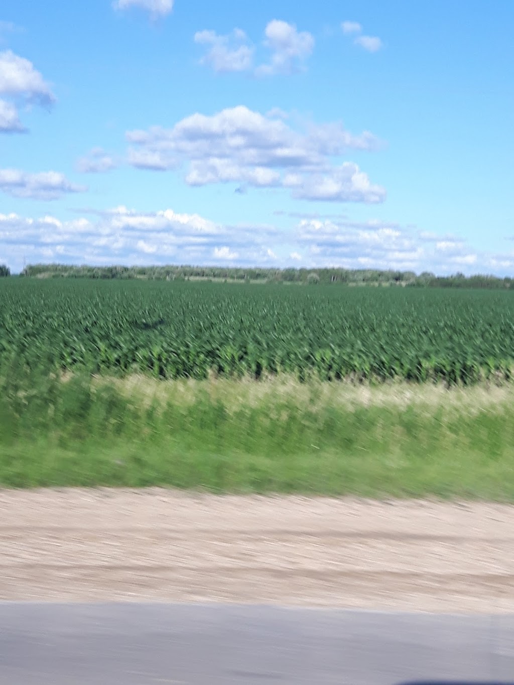 Stahn Field | Mitchell, MB R5G 1H9, Canada