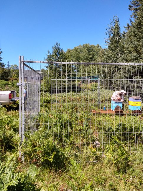 Ahmic Lake Apiaries | 4 Old Nippissing Road, South St, Magnetawan, ON P0A 1P0, Canada | Phone: (705) 380-4661