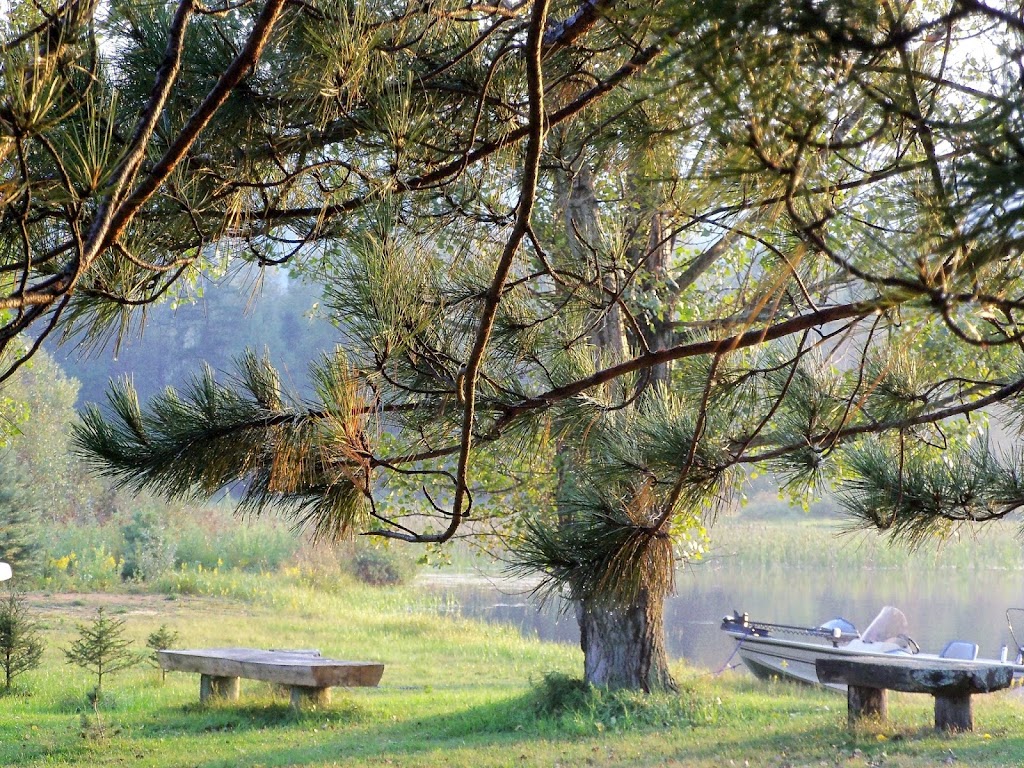 Red Deer Log Cabins | 6471 Highway 523, Madawaska, ON K0J 2C0, Canada | Phone: (613) 637-5215