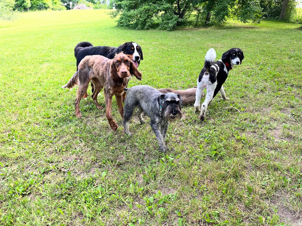 Dream Acres Pet Resort | 355 Bowland Rd, Clayton, ON K0A 1P0, Canada | Phone: (613) 256-0687